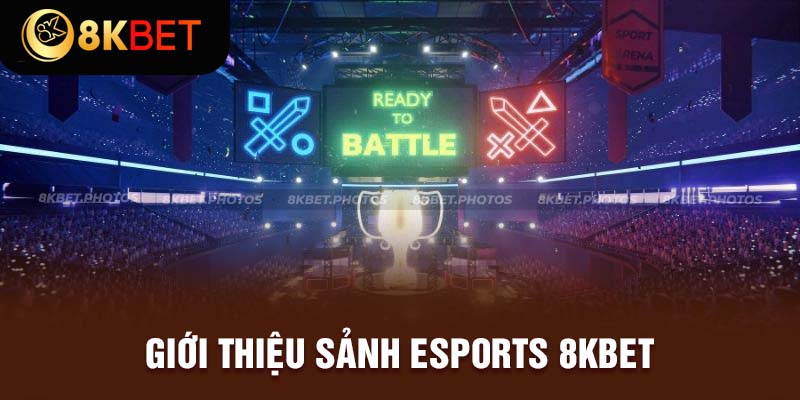 Thông tin tổng quan chung về Esports 8Kbet